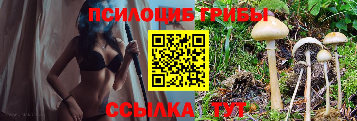 Галлюциногенные грибы MAGIC MUSHROOMS Камышин