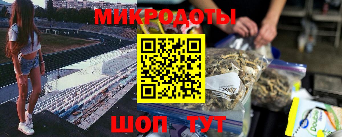 Псилоцибиновые грибы Cubensis  Вход с VPN  Камышин  Псилоцибиновые грибы GOLDEN TEACHER 